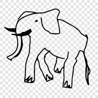 elephantine, majestic, huge, trunk icon svg