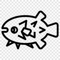 Verschlüsselung, Passwort, Sicherheit, Blowfish symbol