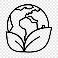 environment, sustainability, biomes, rainforest icon svg