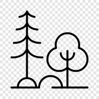 environment, flora, fauna, trees icon svg