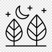 environment, ecology, habitat, plants icon svg