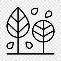 environment, conservation, wilderness, flora icon svg