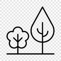 environment, recreation, green, nature icon svg