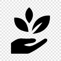 environmentalism, sustainable development, biodiversity, ecosystem icon svg