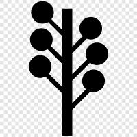 environmentalism, deforestation, sustainability, carbon footprint icon svg