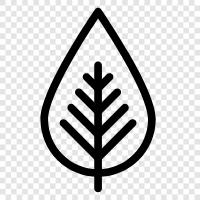 environmentalism, sustainable, ecology, conservation icon svg