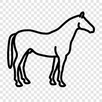 equine, horsemanship, riding, breeding icon svg