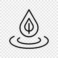 ätherisches Öl, Trägeröl, therapeutische Qualität, Aromaöl symbol