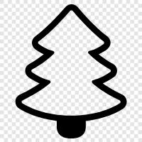 Evergreen, needles, cones, Noel ikon svg