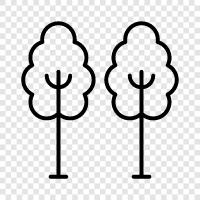 evergreen, deciduous trees, flowering trees, trees icon svg