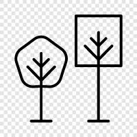 evergreen, leaves, bark, branches icon svg