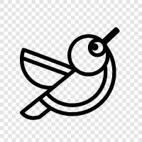 exotic, avian, feathered, flapping icon svg