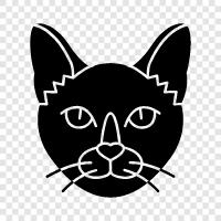 exotic, kitty, felines, house cat icon svg