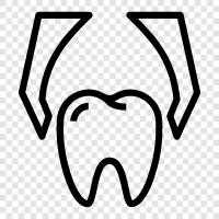 extraction, teeth, extraction cost, extraction dentist icon svg