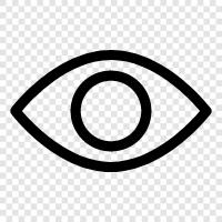 Eye Color, Eye Exam, Eye Health, Eye Infection icon svg