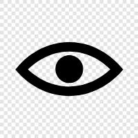 Eye color, Eye exam, Eye health, Eye problems icon svg