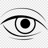 Eye Health, Eye Care, Eye Surgery, Eye Test icon svg