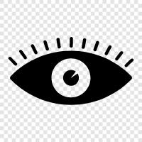 eye health, eye problems, eye health tips, eye exam icon svg