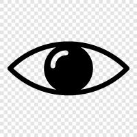 Eye, EyeEye icon svg