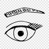 eyelashes, eyesight, eyeball, vision icon svg