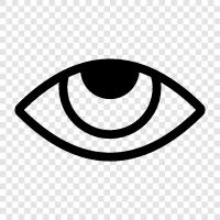 Eyes, Eyesight, Vision, Sight icon svg