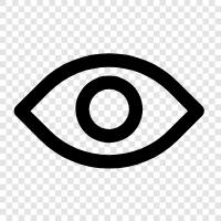 eyesight, vision, examine, check icon svg