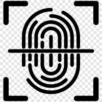 facial recognition, iris scan, fingerprints, biometric scan icon svg