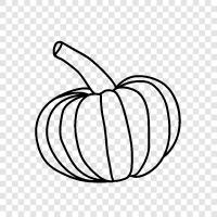 fall, harvest, gourd, vegetable icon svg