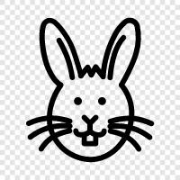 family pet, house rabbit, bunny, pet rabbit icon svg