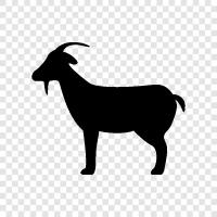 farm, farming, animal, pet icon svg