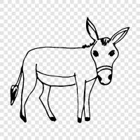 farm, riding, work, Donkey icon svg