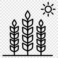 farmers, produce, agriculture, food icon svg