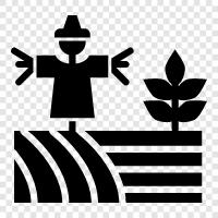 farmers, corn, harvest, scarecrow icon svg