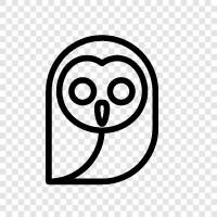 feathered, majestic, wise, Owl icon svg