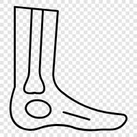 feet, health, foot care, infection icon svg
