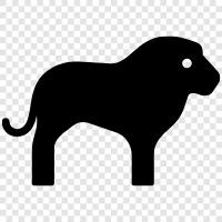 feline, big cat, Tara, animal icon svg