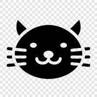 feline, animal, pet, cute icon svg