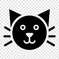 feline, house cat, catnip, kitty icon svg