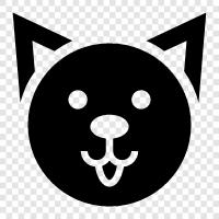 feline, house cat, black cat, white cat icon svg