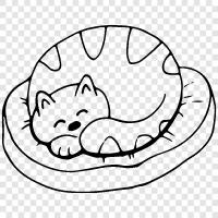 feline, housecat, pet, domesticated icon svg