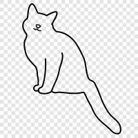 Feline icon svg