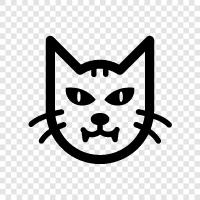 feline, hauskatze, niedliche katze, lustige katze symbol