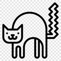 feline, house cat, pet, animal icon svg