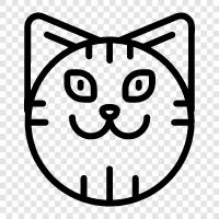 feline, house cat, pet cat, cute cat icon svg