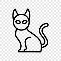 Katzen, Hauskatze, Ingwerkatze, Schwarze Katze symbol