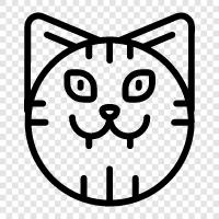 feline, house cat, pet cat, cute cat icon svg