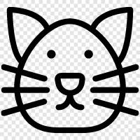 feline, house cat, pet cat, cuddly icon svg