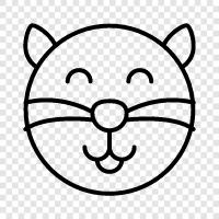 feline, house cat, pet cat, felines icon svg