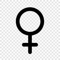 female body, female figure, female head, female face icon svg