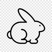 Feral, House Rabbit, Pet Rabbit, Baby Rabbit icon svg